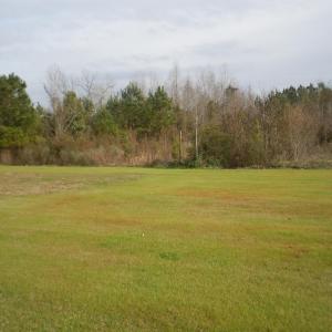 Mollie Road Pics 007