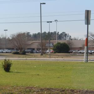 Mollie Road Pics 010