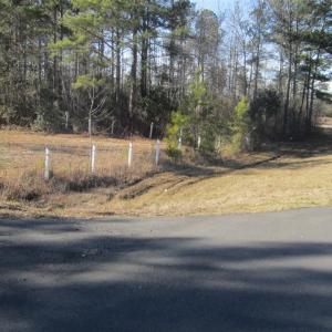 Photo #3 of 1244 Highway 9, Loris, SC 1.7 acres