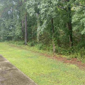 Photo #4 of 2626 Highway 378, Conway, SC 0.9 acres