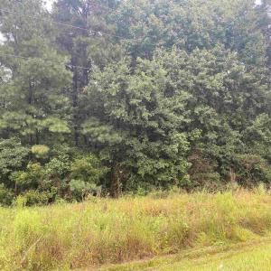 Photo #2 of 2626 Highway 378, Conway, SC 0.9 acres