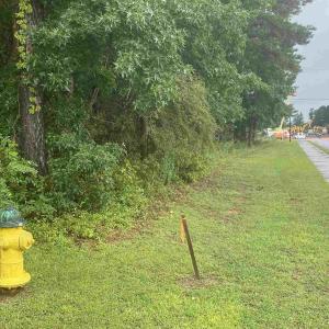 Photo #3 of 2626 Highway 378, Conway, SC 0.9 acres