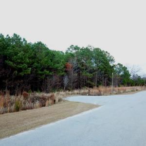 Photo #5 of TBD Highway 76, Marion, SC 6.5 acres
