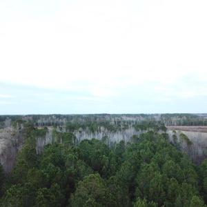 Photo #4 of TBD Highway 76, Marion, SC 6.5 acres