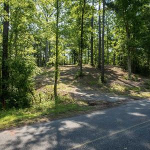 Photo #8 of TBD Francis Marion Dr., Georgetown, SC 3.3 acres