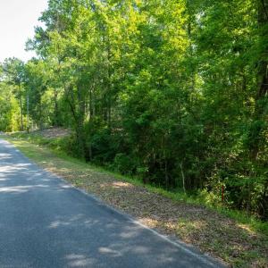 Photo #5 of TBD Francis Marion Dr., Georgetown, SC 3.3 acres