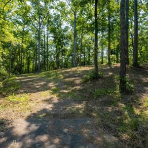 Photo #7 of TBD Francis Marion Dr., Georgetown, SC 3.3 acres