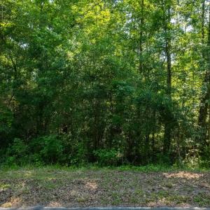 Photo #2 of TBD Francis Marion Dr., Georgetown, SC 3.3 acres
