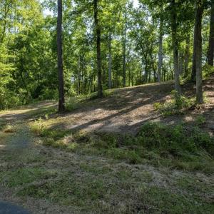 Photo #3 of TBD Francis Marion Dr., Georgetown, SC 3.3 acres