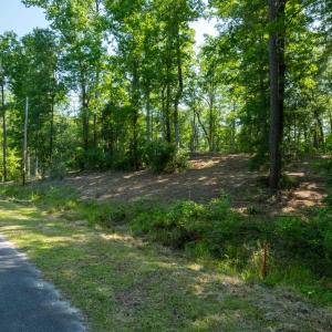 Photo #4 of TBD Francis Marion Dr., Georgetown, SC 3.3 acres
