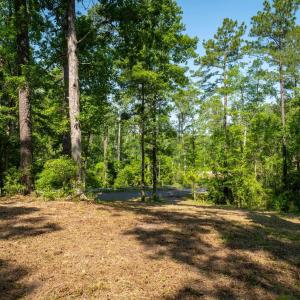 Photo #11 of TBD Francis Marion Dr., Georgetown, SC 3.3 acres