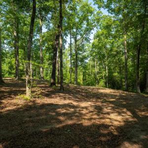 Photo #10 of TBD Francis Marion Dr., Georgetown, SC 3.3 acres