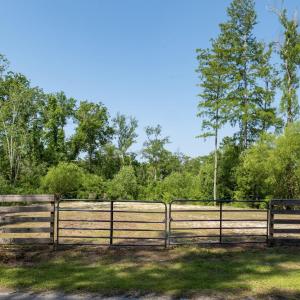 Photo #27 of TBD Francis Marion Dr., Georgetown, SC 3.3 acres