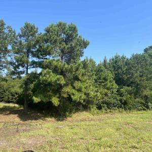 Photo #1 of Lot 2 Highway 707, Myrtle Beach, SC 1.8 acres