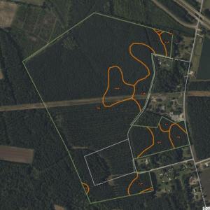 Photo #3 of TBD Bluebird Ln., Conway, SC 99.2 acres