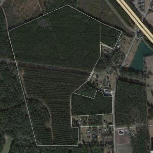 Photo #1 of TBD Bluebird Ln., Conway, SC 99.2 acres