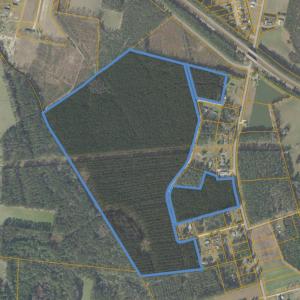 Photo #5 of TBD Bluebird Ln., Conway, SC 99.2 acres