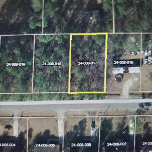 Photo #3 of TBD Stina Ave., Hemingway, SC 0.2 acres