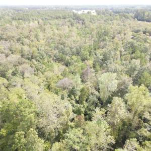 Photo #1 of Lot 6 Rainbow Dr., Loris, SC 2.1 acres