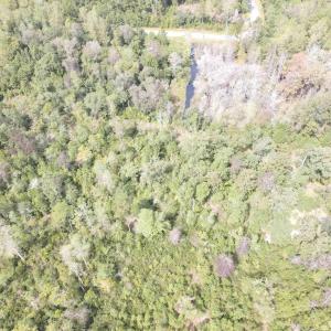 Photo #6 of Lot 6 Rainbow Dr., Loris, SC 2.1 acres