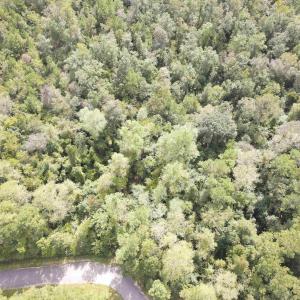 Photo #4 of Lot 6 Rainbow Dr., Loris, SC 2.1 acres