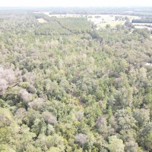 Photo #3 of Lot 6 Rainbow Dr., Loris, SC 2.1 acres