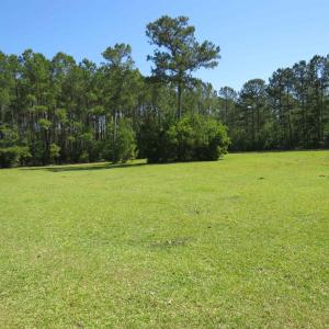 View of grassy yard