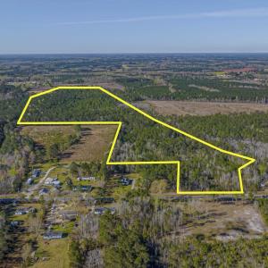 Photo #3 of TBD Wright Rd., Loris, SC 59.3 acres