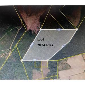 Photo #9 of TBD Wright Rd., Loris, SC 59.3 acres