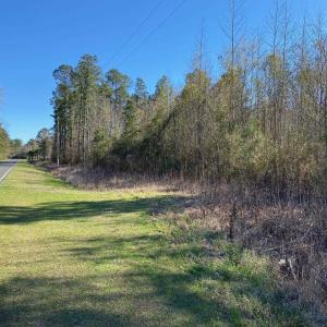 Photo #15 of TBD Wright Rd., Loris, SC 59.3 acres