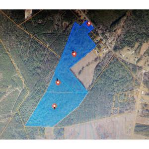 Photo #5 of TBD Wright Rd., Loris, SC 59.3 acres