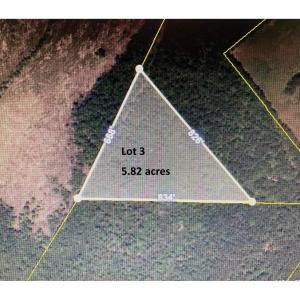 Photo #6 of TBD Wright Rd., Loris, SC 59.3 acres