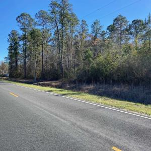 Photo #16 of TBD Wright Rd., Loris, SC 59.3 acres