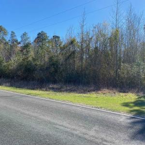 Photo #14 of TBD Wright Rd., Loris, SC 59.3 acres