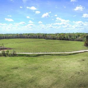 Photo #11 of TBD Roleighn Rd., Conway, SC 44.0 acres