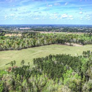 Photo #8 of TBD Roleighn Rd., Conway, SC 44.0 acres