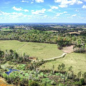 Photo #9 of TBD Roleighn Rd., Conway, SC 44.0 acres