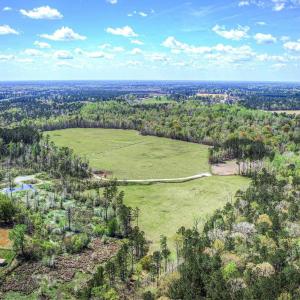 Photo #10 of TBD Roleighn Rd., Conway, SC 44.0 acres