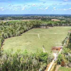 Photo #7 of TBD Roleighn Rd., Conway, SC 44.0 acres