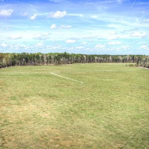 Photo #12 of TBD Roleighn Rd., Conway, SC 44.0 acres