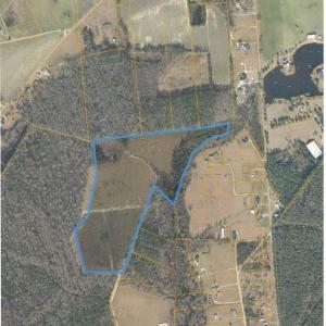 Photo #2 of TBD Roleighn Rd., Conway, SC 44.0 acres
