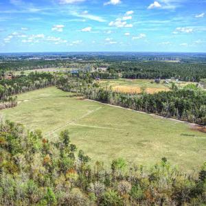 Photo #5 of TBD Roleighn Rd., Conway, SC 44.0 acres