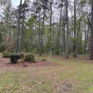 Photo #1 of Lot 5 Persimmon Ford Rd., Johnsonville, SC 0.5 acres