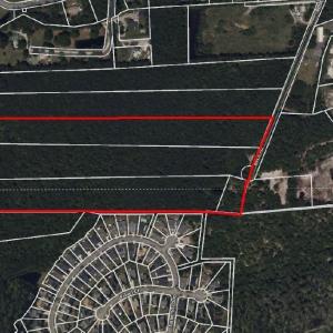 Photo #1 of TBD Betts Rd., Murrells Inlet, SC 32.5 acres