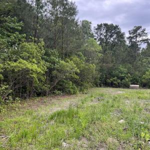 Photo #3 of TBD Betts Rd., Murrells Inlet, SC 32.5 acres