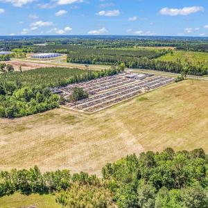 Photo #10 of TBD Highway 501, Mullins, SC 33.0 acres