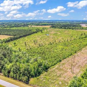 Photo #9 of TBD Highway 501, Mullins, SC 33.0 acres