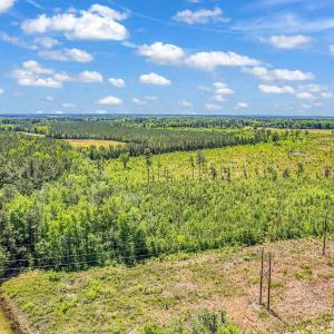 Photo #3 of TBD Highway 501, Mullins, SC 33.0 acres