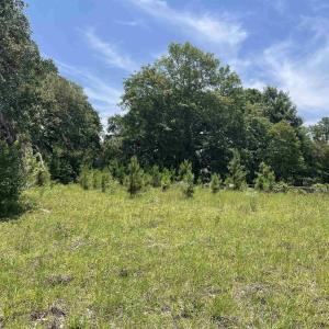 Photo #2 of TBD North Longstreet St., Kingstree, SC 0.9 acres