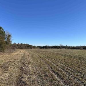 Photo #14 of 821 Lake City Hwy., Johnsonville, SC 149.0 acres